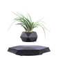 Black faceted pot with an artificial air plant floating above a levitation base on white