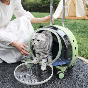 Green pet carrier with a transparent bubble window opened while a cat steps out beside a seated woman on grass