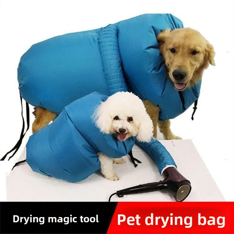 Golden retriever and a white poodle each in a blue pet drying bag, a hair dryer on the table beside them