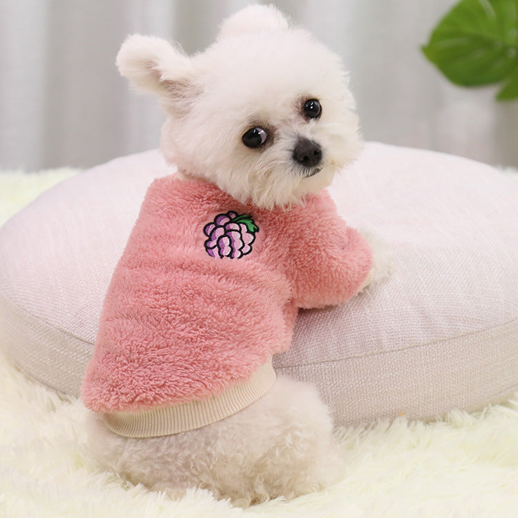 Small white dog in a pink plush pullover with an embroidered grape patch, a pink version not in the options