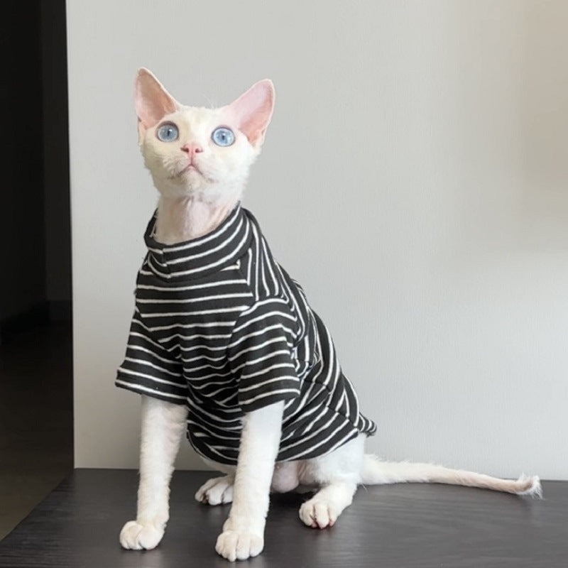 Black and white striped cat shirt on a seated hairless cat, front view, fourth black option photo