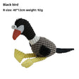 Ugly Cute Bird Black