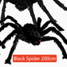 200 cm | 79 in