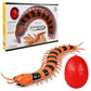 Remote control spider cat toy on a plain background for interactive play