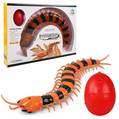 Remote control spider cat toy on a plain background for interactive play