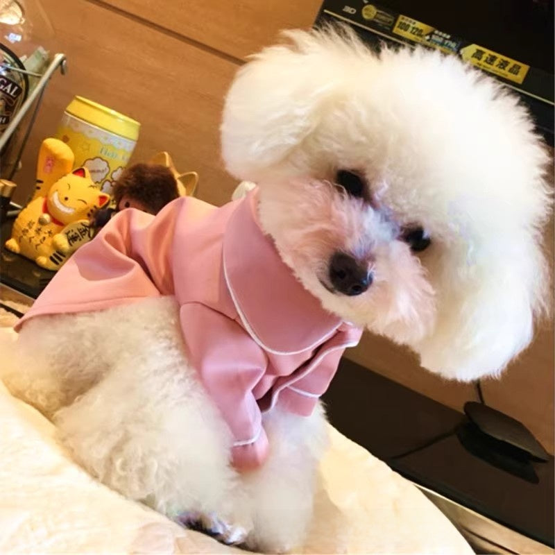 White bichon wearing the pink pet pajama shirt with white piping along the collar and placket