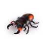 Beetle-orange