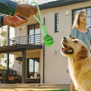Grooved rubber dog treat ball threaded onto a braided tug rope handle