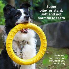 Durable Dog Chew Toy Set for Training and Play