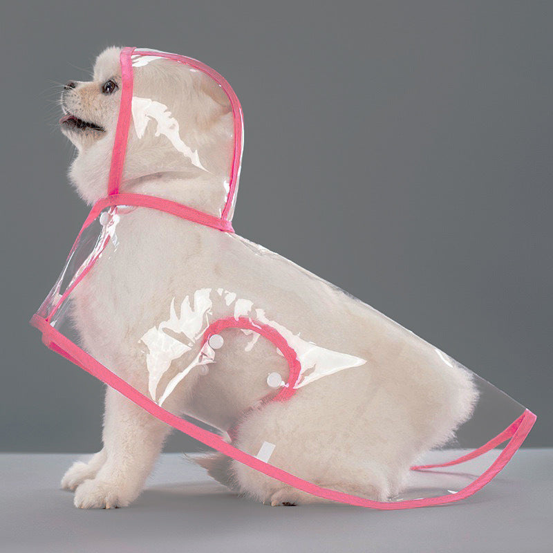 Small white dog seated in a clear EVA hooded rain poncho with sakura pink trim, studio three quarter view
