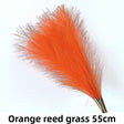 Tangerine 10pcs