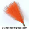 Tangerine 10pcs
