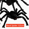 125 cm | 49 in