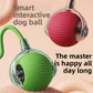 A brown rolling cat ball for dogs and cats, part of a soft rubber pet toy assortment