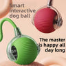Funny cat ball green-smart wake-up