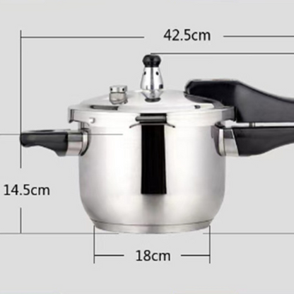 304 stainless steel pressure cooker photographed in soft daylight for color reference