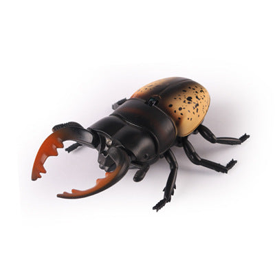 Remote control spider cat toy on a plain background for interactive play