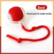 Funny cat ball red-smart belt wake-up