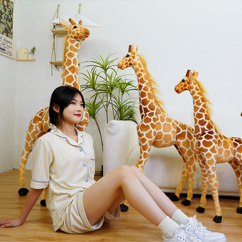Woman in pajamas on the floor with three standing giraffe plush toys and a green potted plant