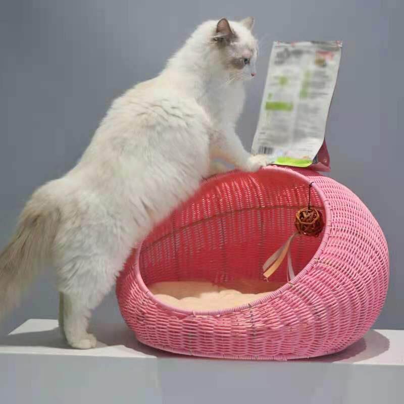 Rattan cage placed under a window with a soft blanket draped