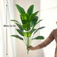 Artificial traveler banana plant leaves fanned out on bendable green stems