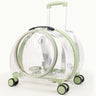 Transparent shell green