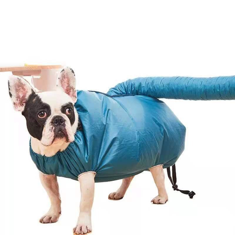 French bulldog in a blue pet drying bag with an air tube and black drawstring cords, shown on the L option