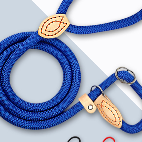 Rope Slip Lead for Dogs, Adjustable Training Leash