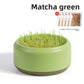 Cat Grass Hydroponic Growing Box Pet Snack