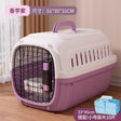 Purple Transport P