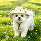 Pet bucket sun hat with ear holes and chin cord in an avocado print
