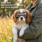 Pet goggles with a silver mirrored lens and black frame for dogs