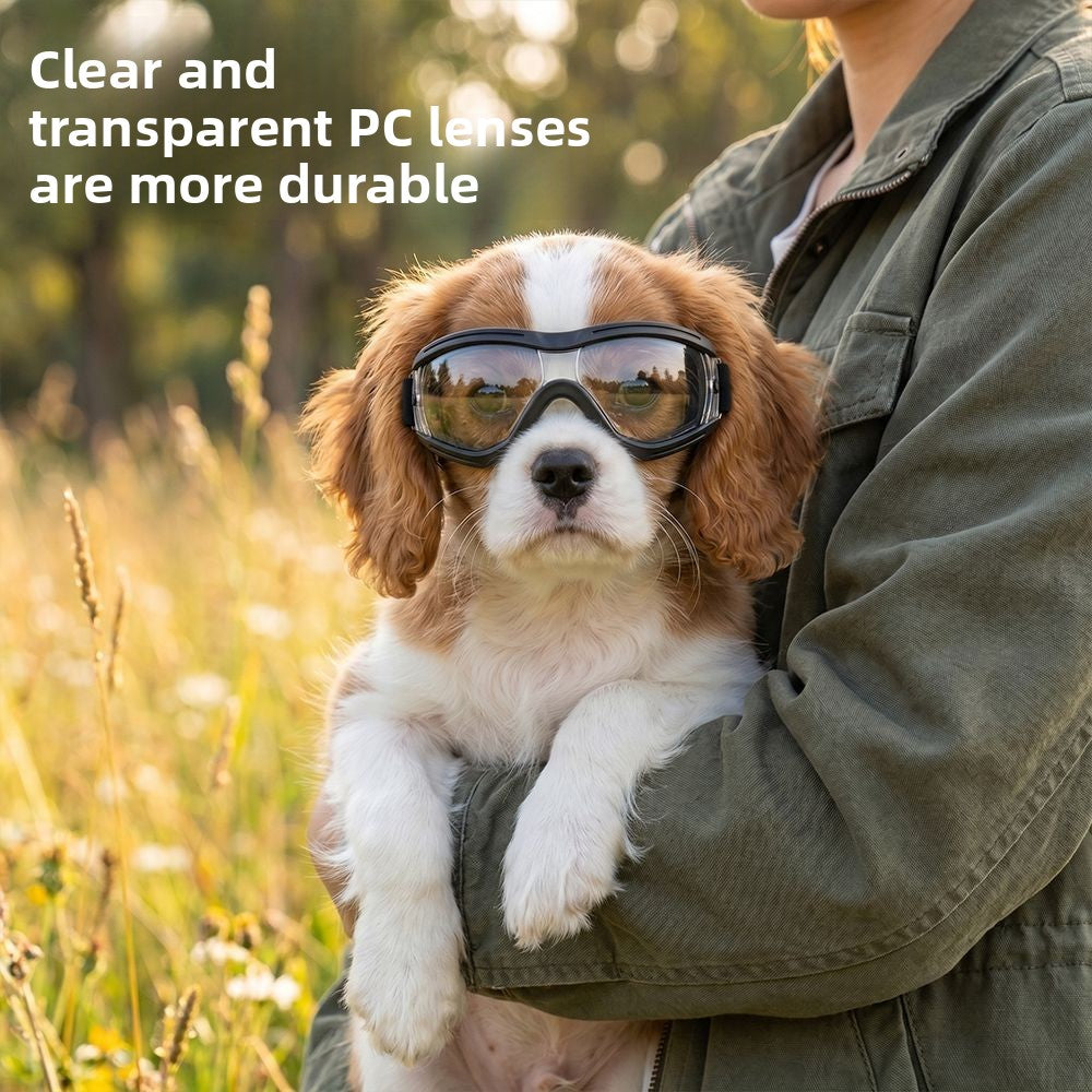 Pet goggles with a silver mirrored lens and black frame for dogs