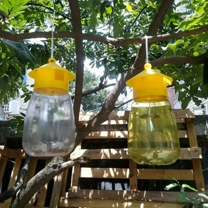 Two hanging fruit fly traps on a garden tree, one filled with yellow bait liquid