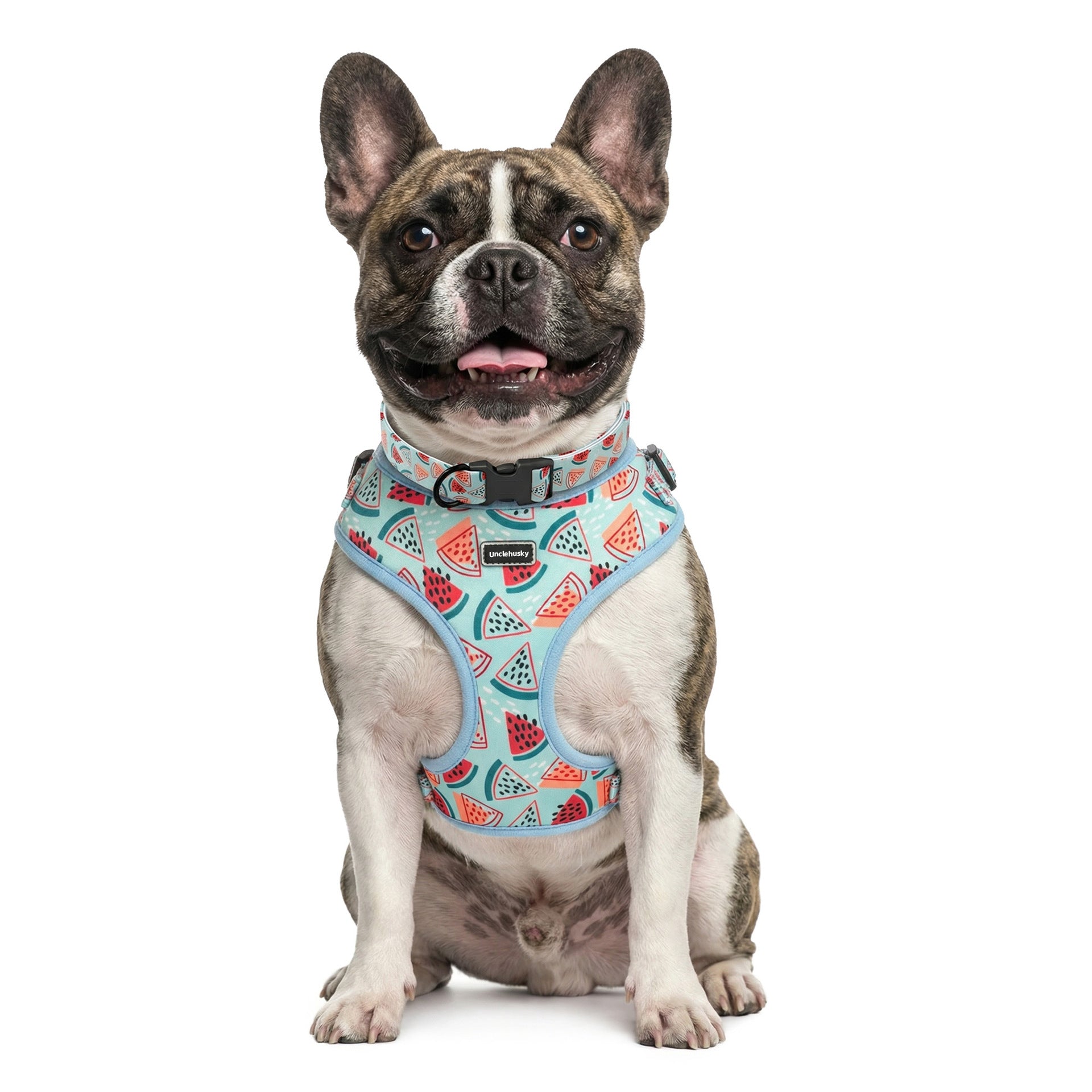 French bulldog wearing the watermelon collar and padded vest harness set
