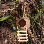 Natural coconut shell pet hide hanging in a terrarium with a round doorway
