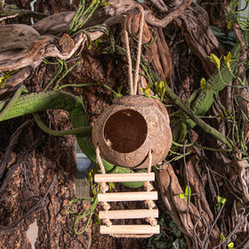 Natural Coconut Shell Pet Shelter Nest