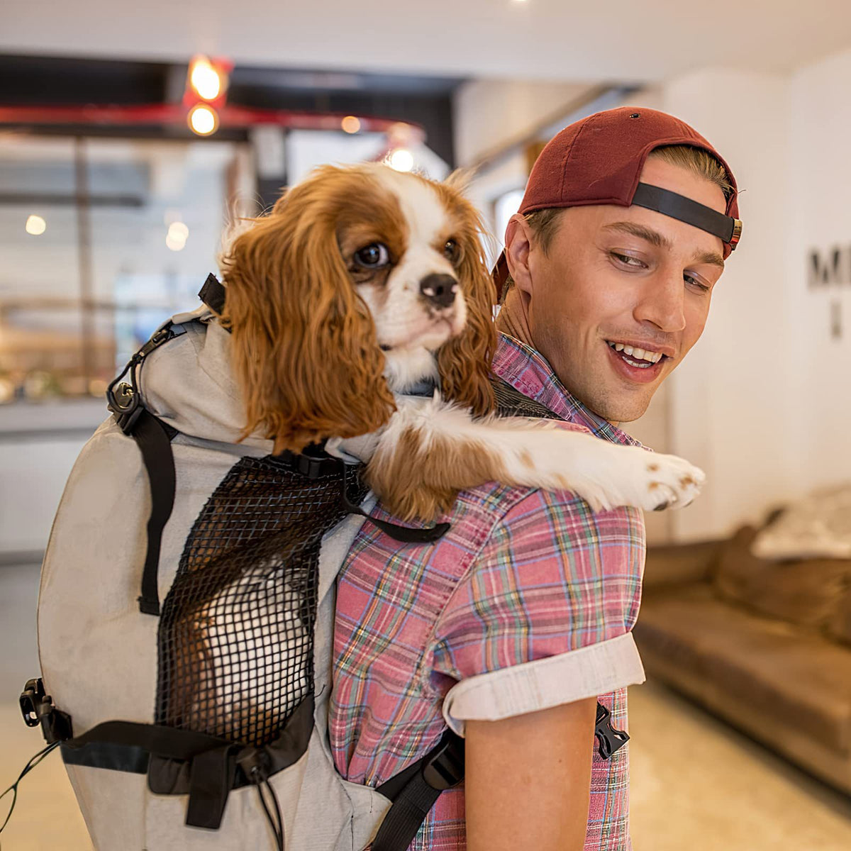 Man carrying a spaniel in a legs out dog carrier backpack with mesh back panel