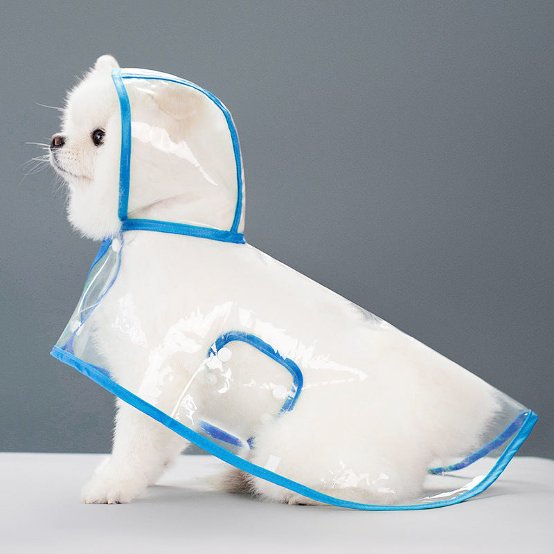 Small white dog seated in a clear EVA hooded rain poncho with sky blue trim, studio profile view