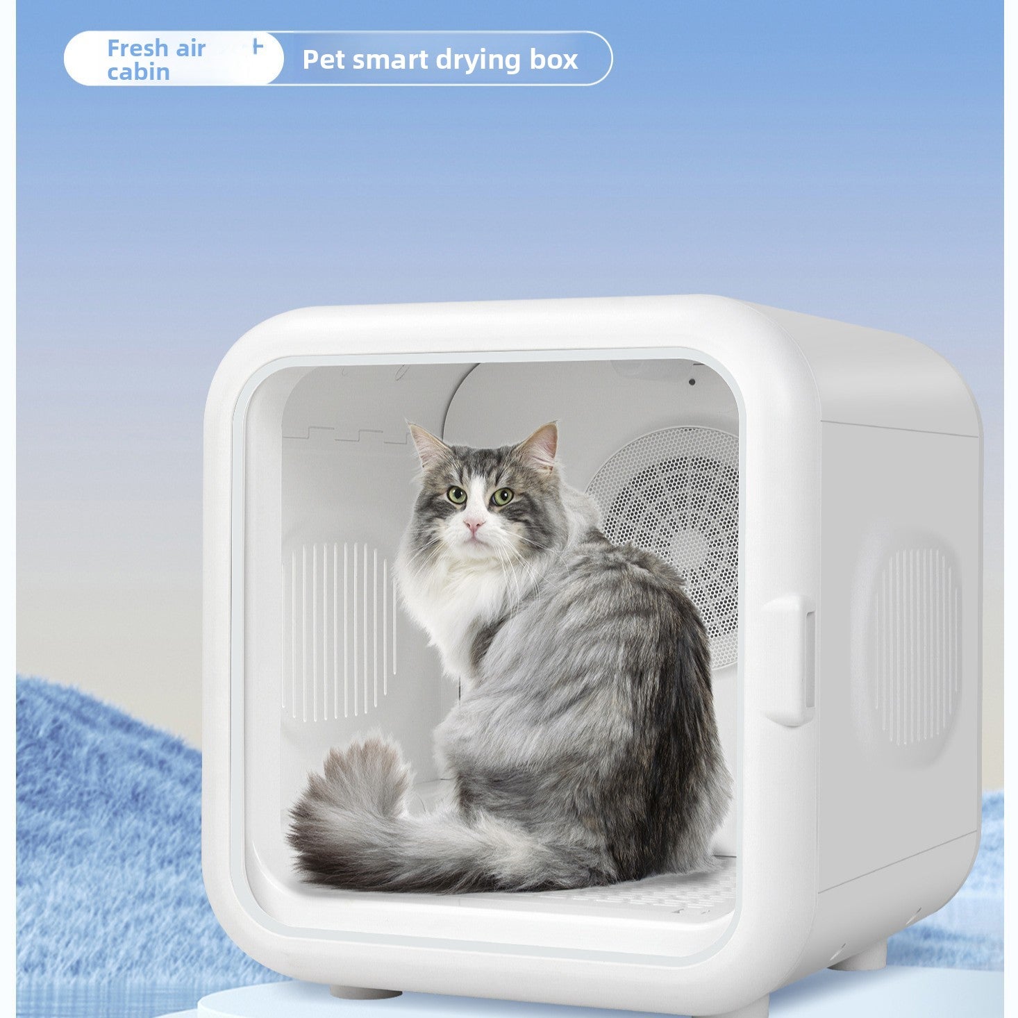 Grey long-haired cat sitting in the drying box with the round fan visible behind a mesh guard
