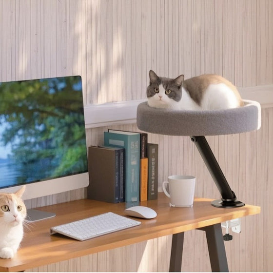 Desk Clamp Round Plush Cat Bed with Angled Metal Arm