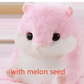 Hamster Plush Pillow Blanket Set