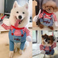 Pet Costume