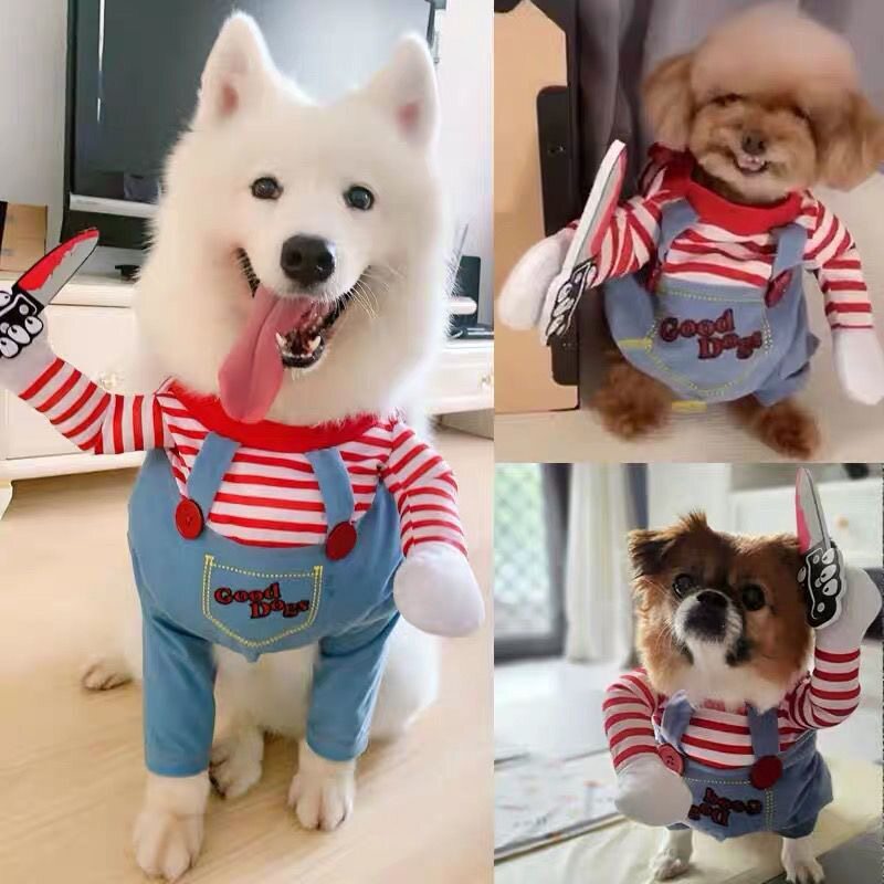 Pet Costume