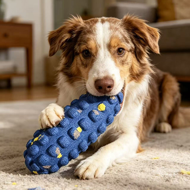 Brown and white dog holding a blue bumpy corn cob dog toy with its paw on a living room rug