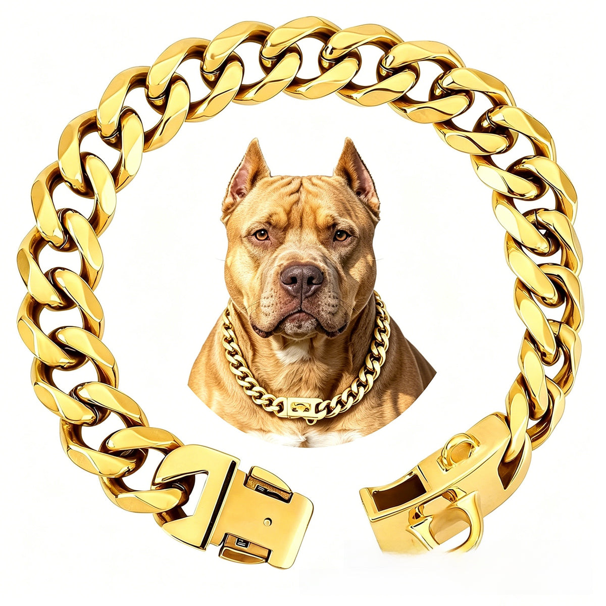 Wide stainless steel chain dog collar with a secure buckle clasp on a plain white background