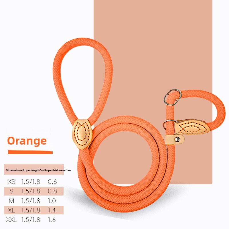Stitched oval leather tag on a lake blue rope slip lead beside the metal ring
