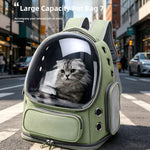 Green transparent dome pet carrier backpack with a gray cat inside on a city street, Large Capacity Pet Bag caption