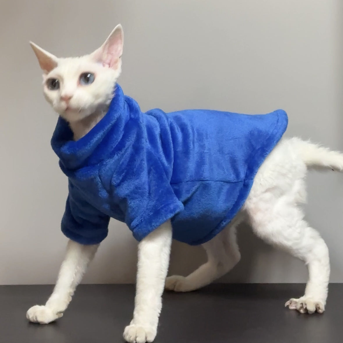 Dark violet plush velvet cat sweater with a soft rolled collar