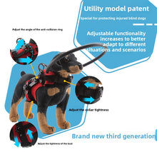 Blind Pet Anti Collision Ring Harness